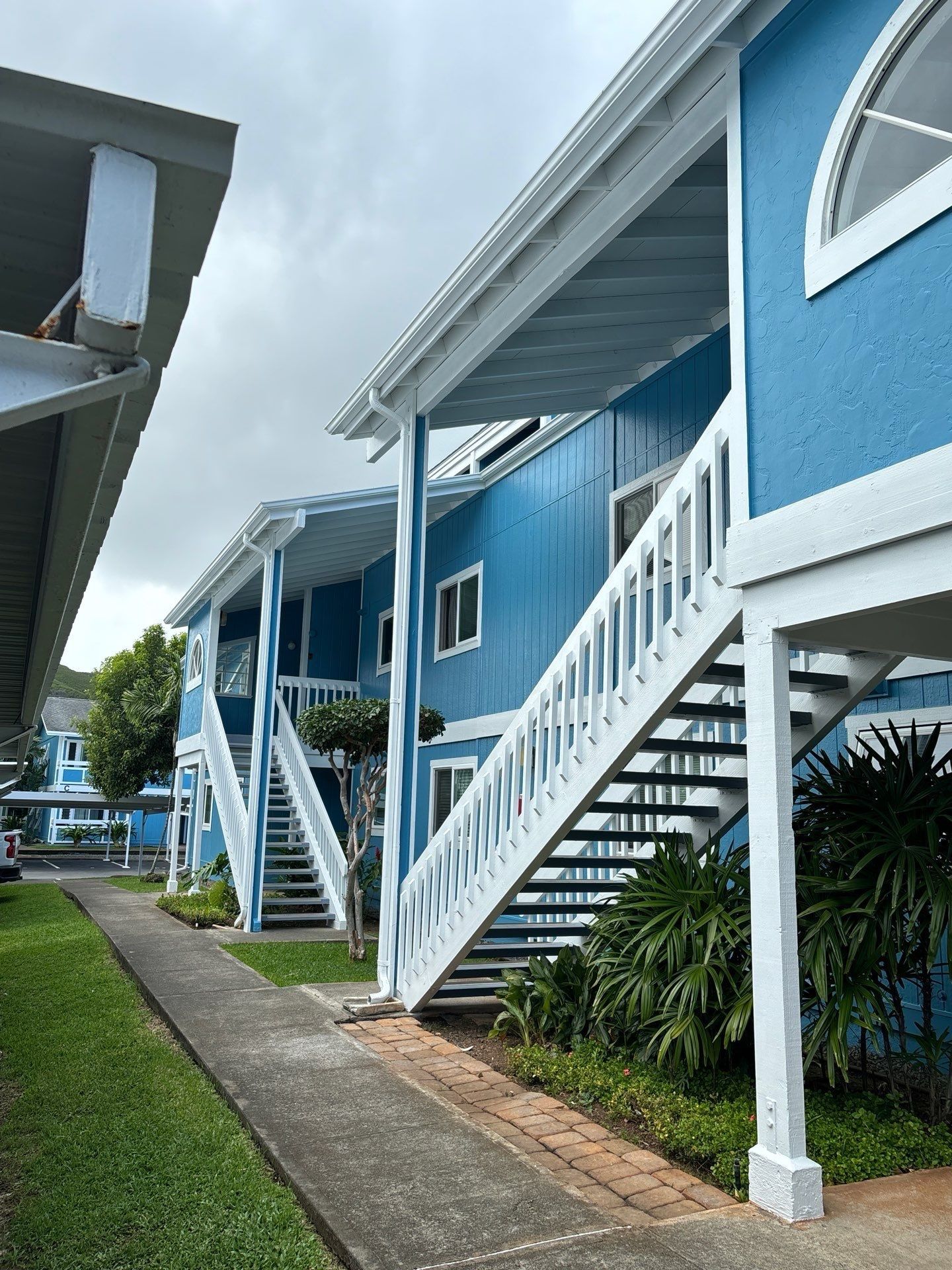 Kailua townhomes in saturated blue with crisp white trim